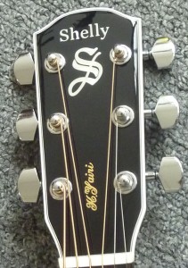 SHELLY SY-MT h3